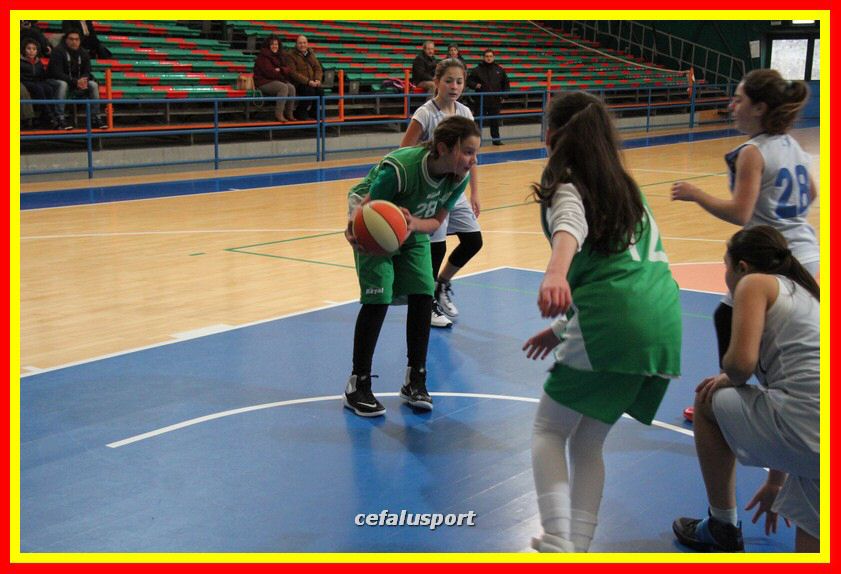 170107 basket 110_tn.jpg